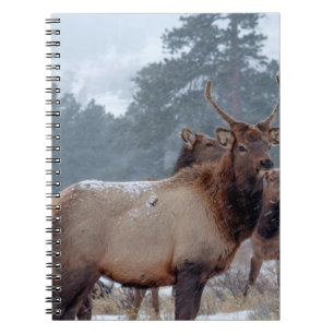 CUADERNO UN GRUPO DE DERES