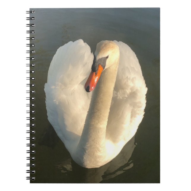 Cuaderno Un hermoso cisne (Frente)