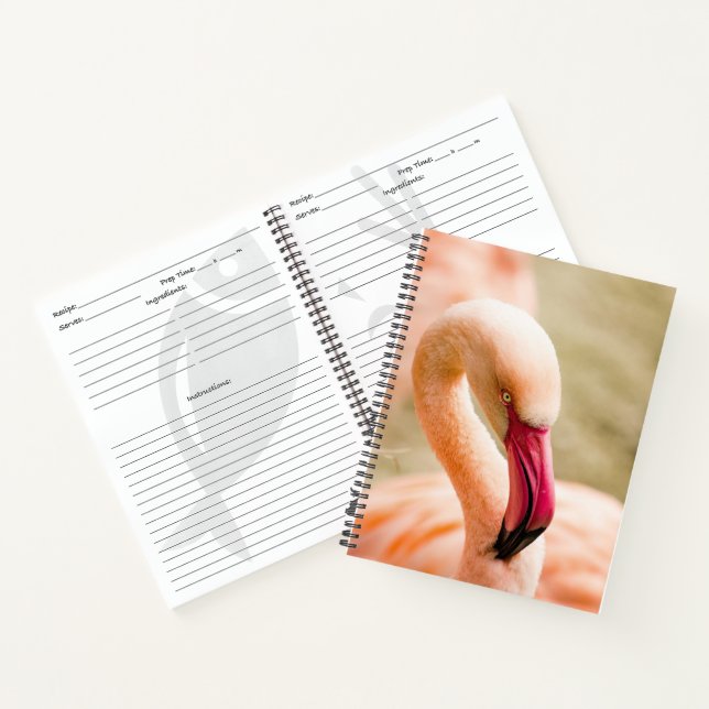 Cuaderno Un hermoso flamenco rosado (Interior)