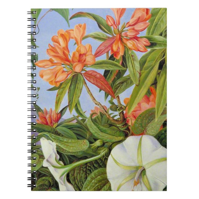 Cuaderno Un Javan Rhododendrum e Ipomoea (Frente)