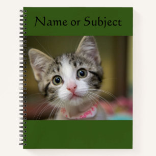 Cuaderno Un lindo gatito con ojos verdes