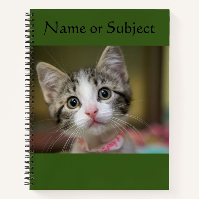 Cuaderno Un lindo gatito con ojos verdes (Anverso)