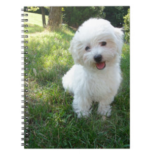 Cuaderno un lindo westie - montañista occidental - en un lo