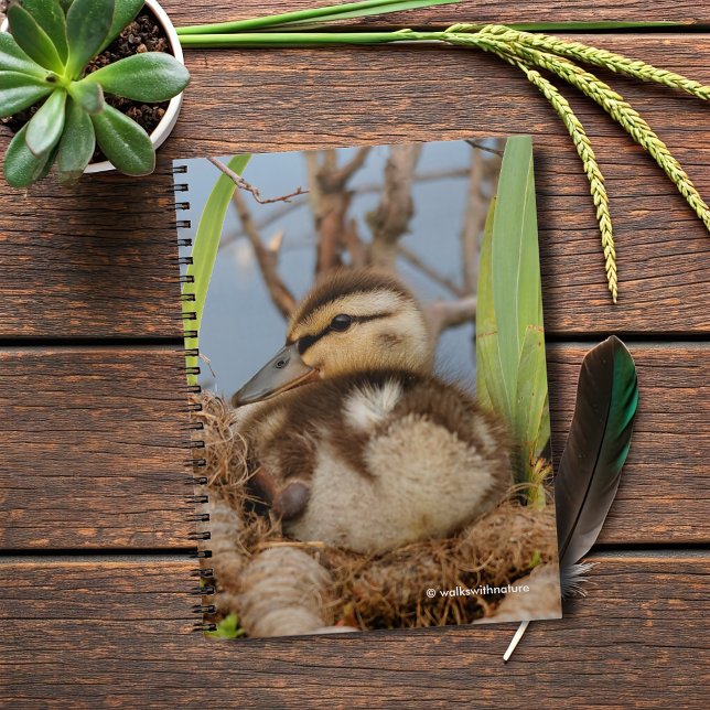 Cuaderno Un lindo y precocioso Duckling Mallard (Mallard Gosling at the Pond Journal Cover Photo)