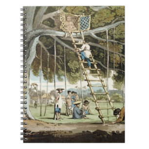 Cuaderno Un ofrecimiento de primer da fruto a dios FO,