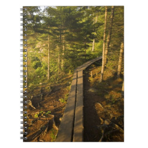Cuaderno Un paseo de madera en el Parque Nacional Acadia Ma