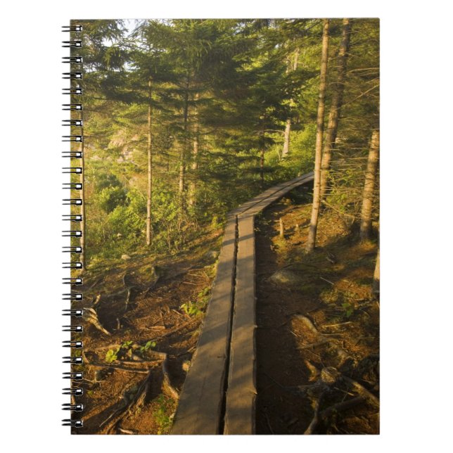 Cuaderno Un paseo de madera en el Parque Nacional Acadia Ma (Frente)