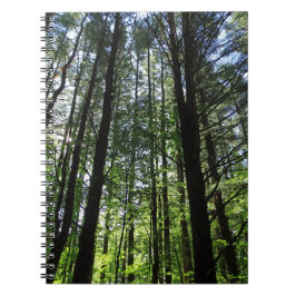 Cuaderno Un paseo en el Woods Journal
