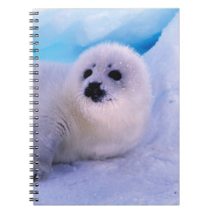Cuaderno Un pequeño arpa cubierto de copos de nieve