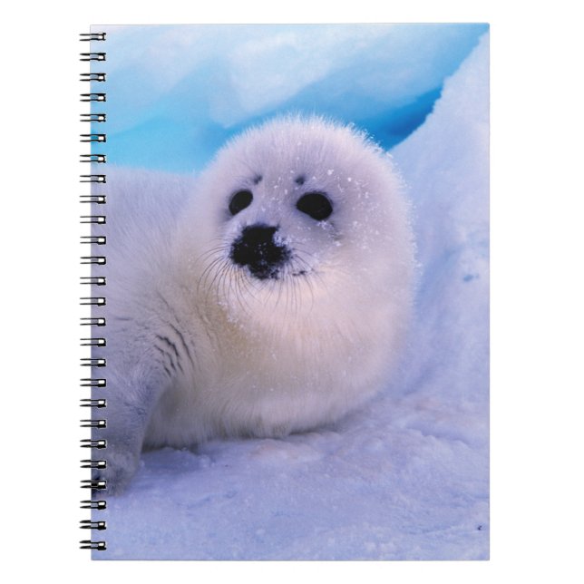 Cuaderno Un pequeño arpa cubierto de copos de nieve (Frente)