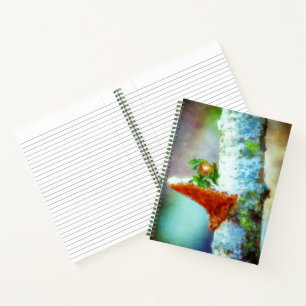Cuaderno Un pequeño dragón duerme