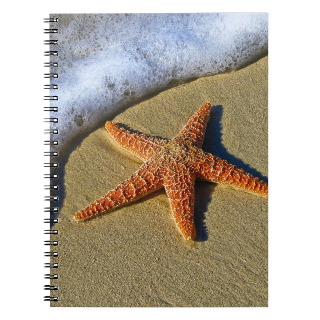 Cuaderno Un pez estrella en la playa (Frente)