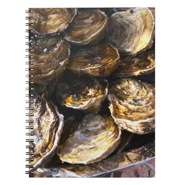 Cuaderno Un plato de ostras. (Frente)