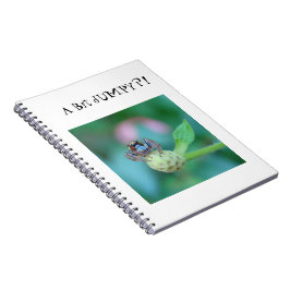 Cuaderno ¡¿Un poco accidentado?!