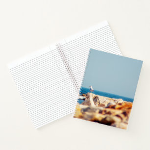 Cuaderno Un post de Gull