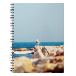 Cuaderno Un post de Gull