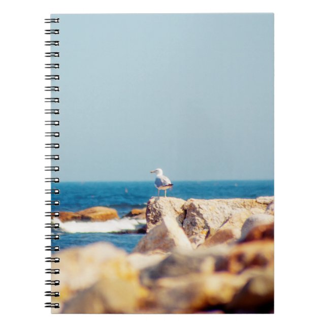 Cuaderno Un post de Gull (Frente)