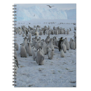 Cuaderno Un rebaño de Pingaleses en la Antártida, foto.