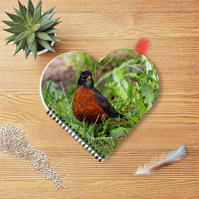 Cuaderno Un Robin estadounidense curioso y esperanzador (Curious American Robin in the Grass Journal Cover Photo)