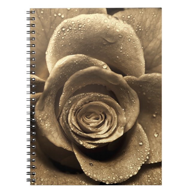 Cuaderno Un rosa a la antigua cerca, mojado con agua (Frente)