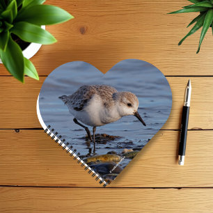 Cuaderno Un Sanderling