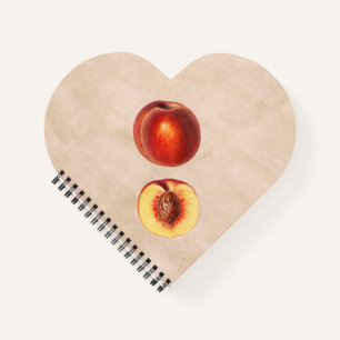 Cuaderno Un serpiente rojo y medio