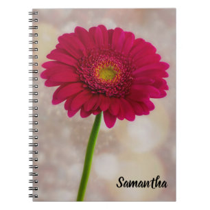 Cuaderno Un solo bloc de notas en espiral de Gerbera rosa c