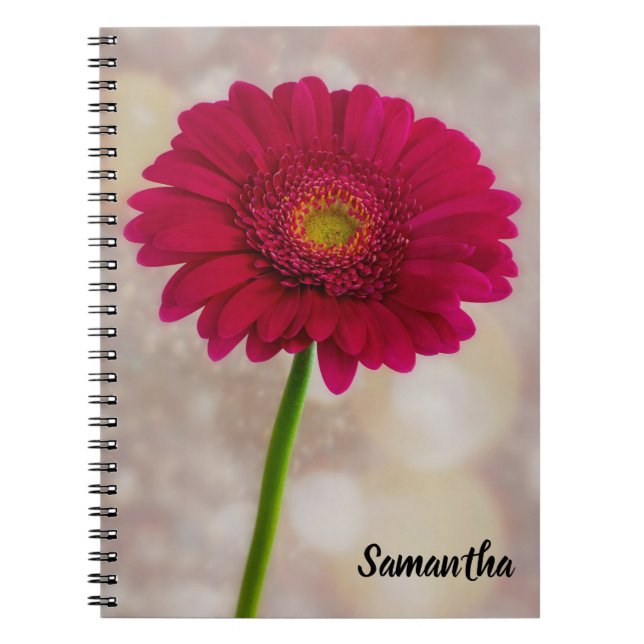 Cuaderno Un solo bloc de notas en espiral de Gerbera rosa c (Frente)