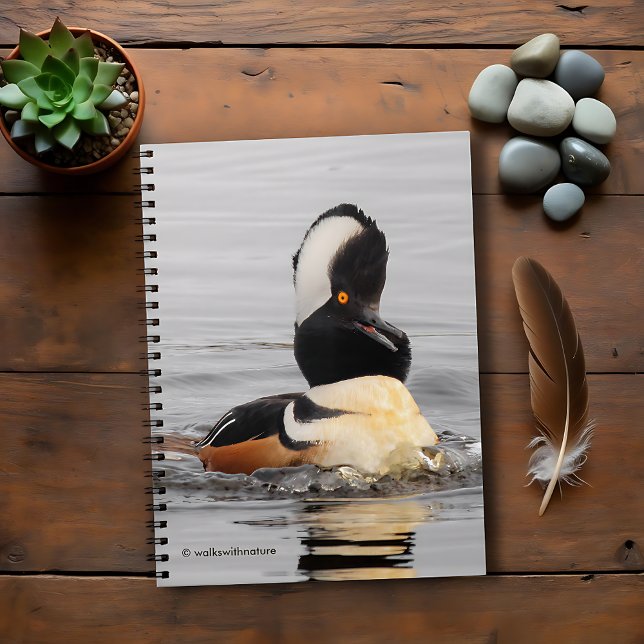 Cuaderno Un Sorprendido Mergante Hooded (Surprised Hooded Merganser in the Pond Journal Cover Photo)