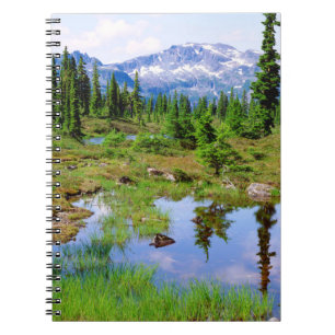 Cuaderno Un tarn en el interior de la isla de Vancouver