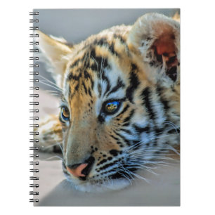 Cuaderno Un tigre de bebé lindo