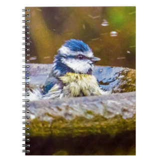 Cuaderno Un Tit azul en el Birdbath