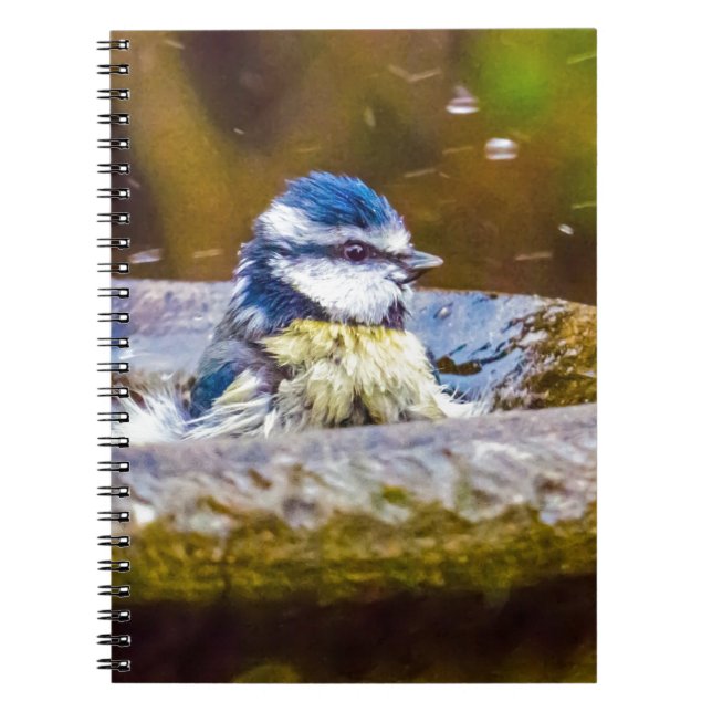 Cuaderno Un Tit azul en el Birdbath (Frente)