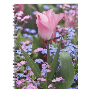 Cuaderno Un tulipán en los Jardines de Luxemburgo, París,