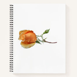 Cuaderno Un único corte de rosa