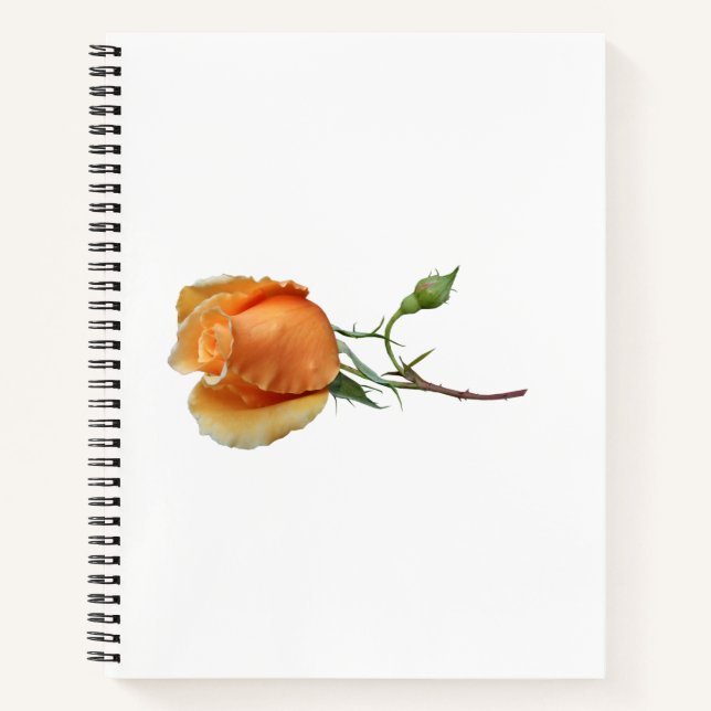 Cuaderno Un único corte de rosa (Anverso)
