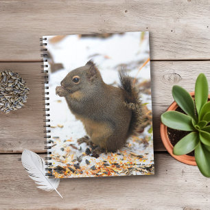 Cuaderno Una ardilla de Douglas muy agradable en una fiesta