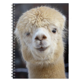 Cuaderno Una cara adorable y esponjosa de una alpaca