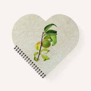 Cuaderno Una composición personalizada sin errores