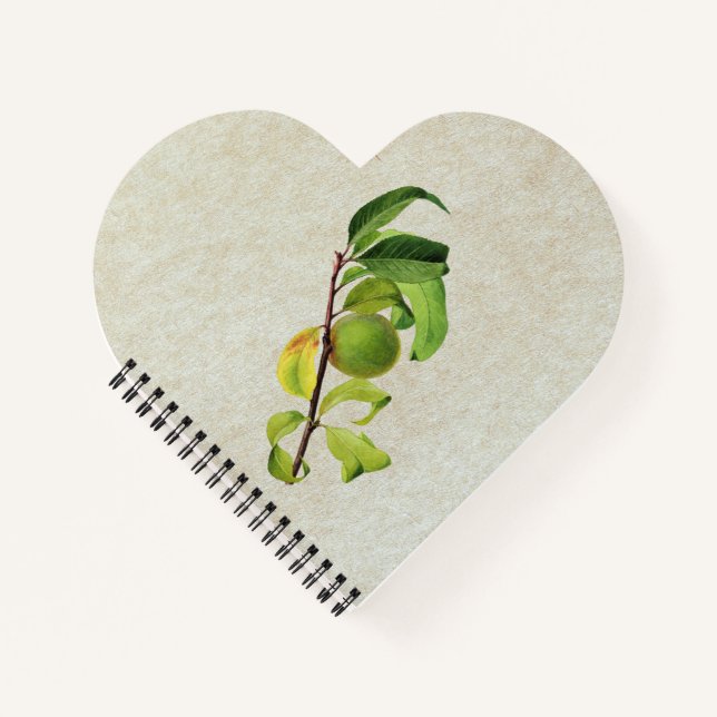 Cuaderno Una composición personalizada sin errores (Anverso)