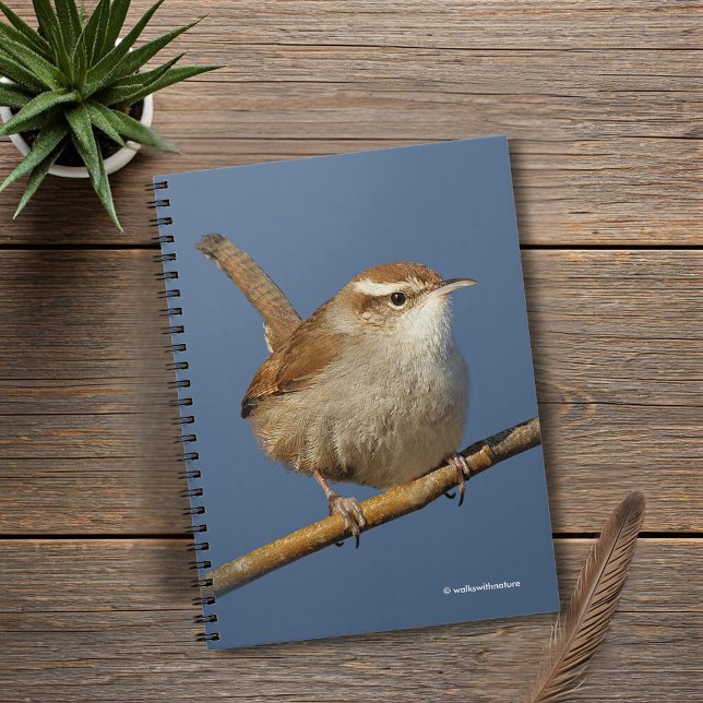 Cuaderno Una Curiosa hirera de Bewick en el árbol (Curious Bewick's Wren on a Branch Journal Cover Photo)