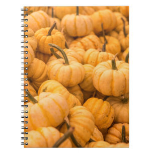 Cuaderno Una gran cantidad de calabazas