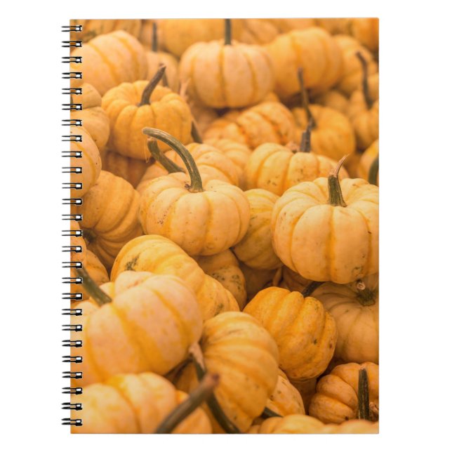 Cuaderno Una gran cantidad de calabazas (Frente)