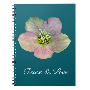 Cuaderno Una Hellebore, una Rosa de Cuaresma