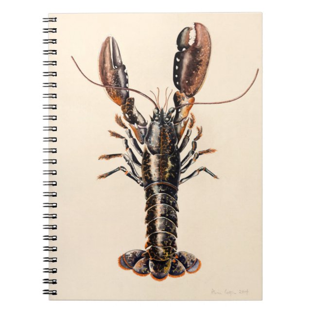 Cuaderno Una langosta de Solva (Frente)