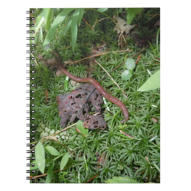 Cuaderno Una lombriz de tierra (Frente)