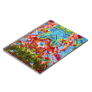 Cuaderno Una luz diferente
