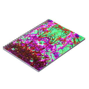 Cuaderno Una luz diferente