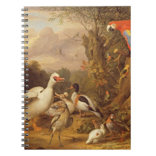 Cuaderno Una macana, patos, loros y otras aves en tierra