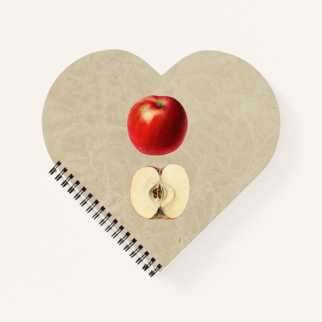 Cuaderno Una manzana roja y media (Anverso)